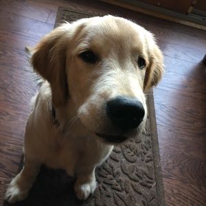 Meet your Posher, Katie